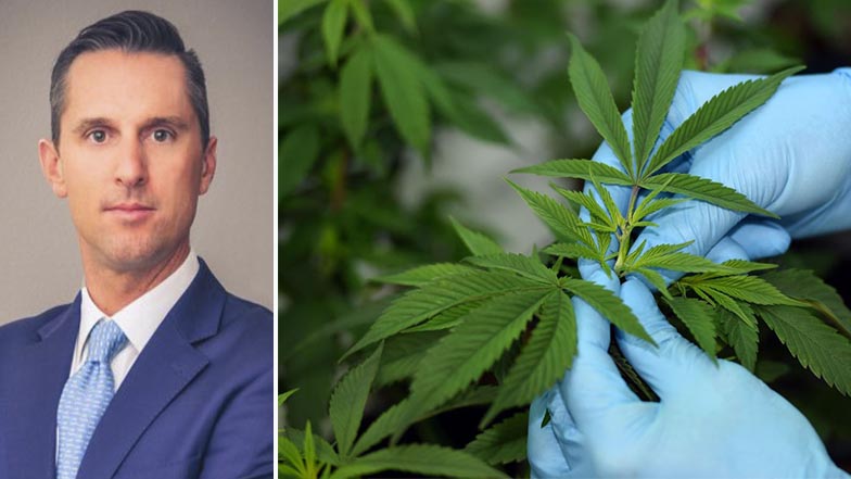 Anden Naturals es una empresa pionera en el rubro. (Fotos: Gestión/Shutterstock) Anden Naturals es una empresa pionera en el rubro. (Fotos: Gestión/Shutterstock)